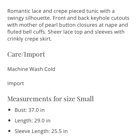 Free People Secret Origins Lace Dress - Picture 7 of 7